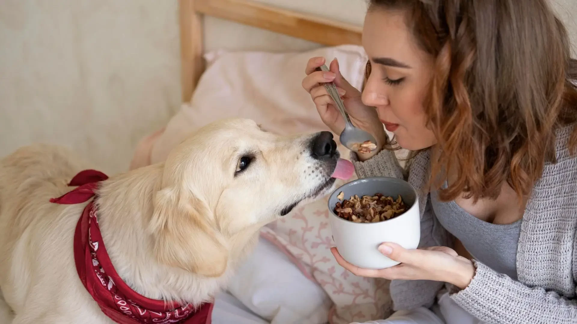 Best dog food for heart murmur – Top recommendations for your pooch