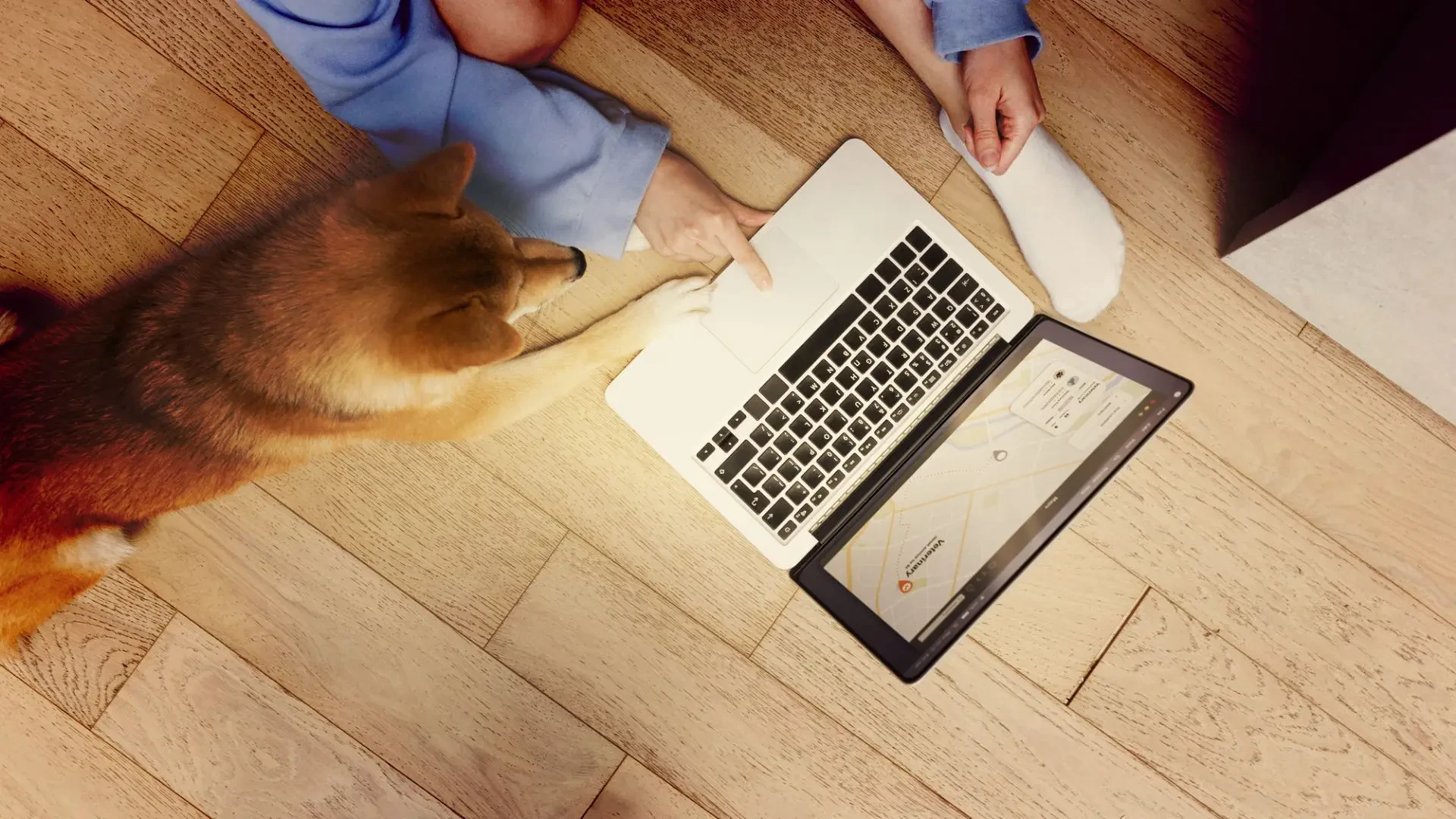 Best website to sell puppies – Updated list of 2023