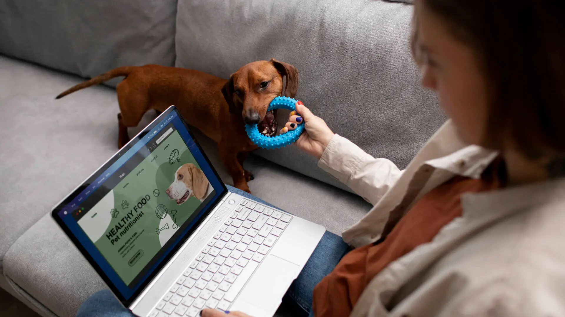 Introducing BreederSpot: One Stop Solutions for Pet Breeders