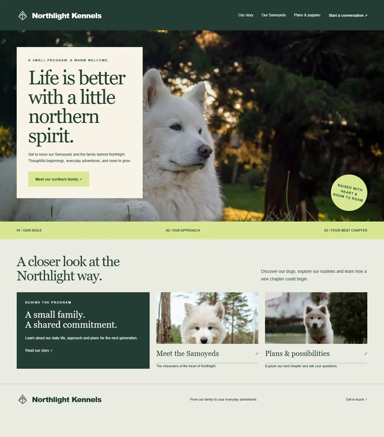 Northlight Kennels original dog website concept with distinct photography and page layout