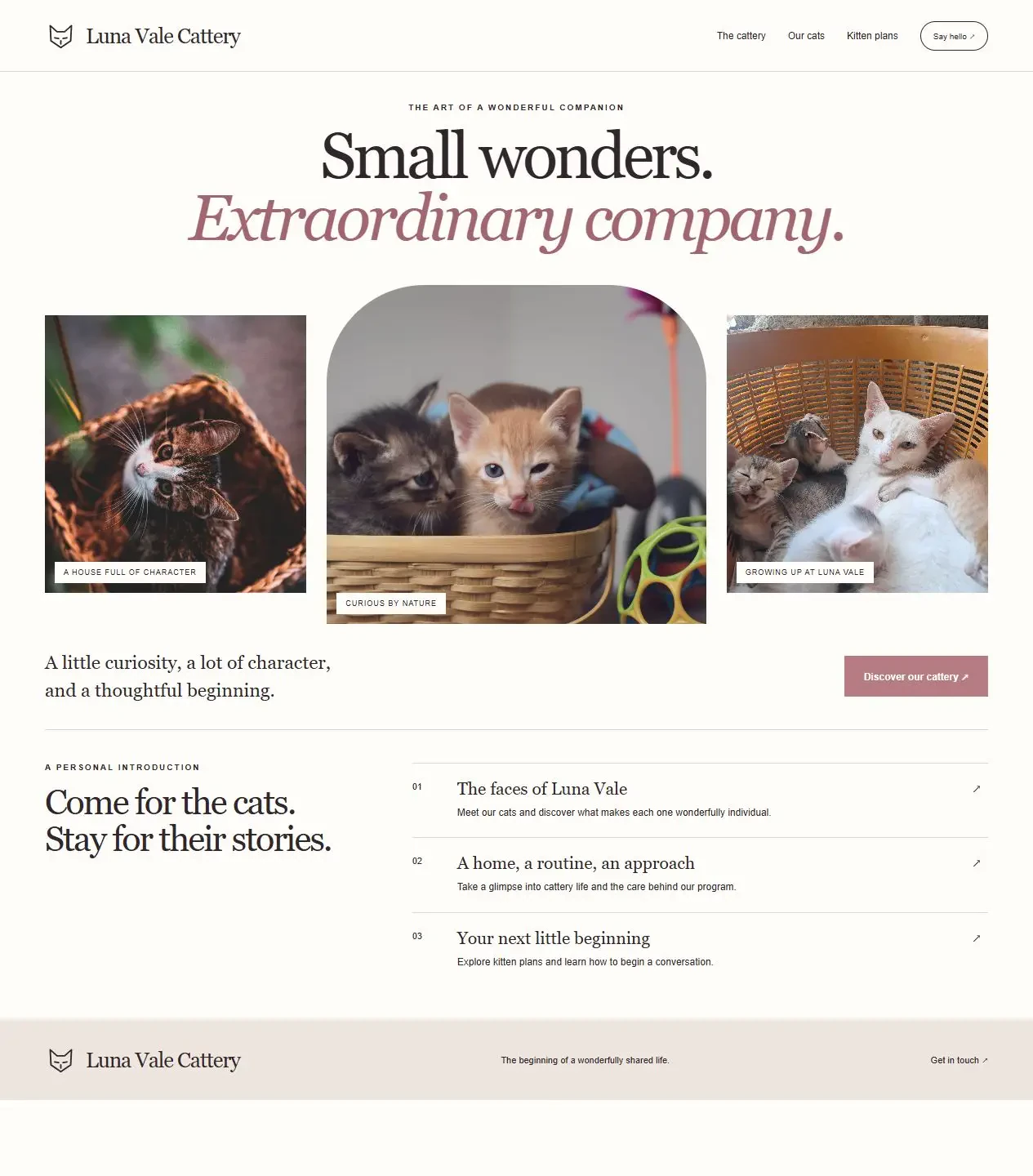 Luna Vale Cattery original cat website concept with distinct photography and page layout