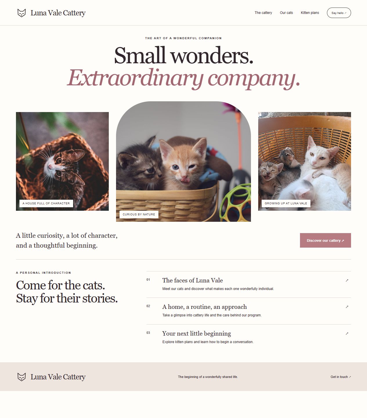 Luna Vale Cattery original website design with distinct cat photography, hero composition and page layout