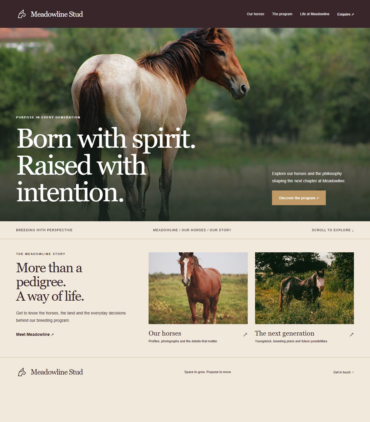 Meadowline Stud original website design with distinct horse photography, hero composition and page layout